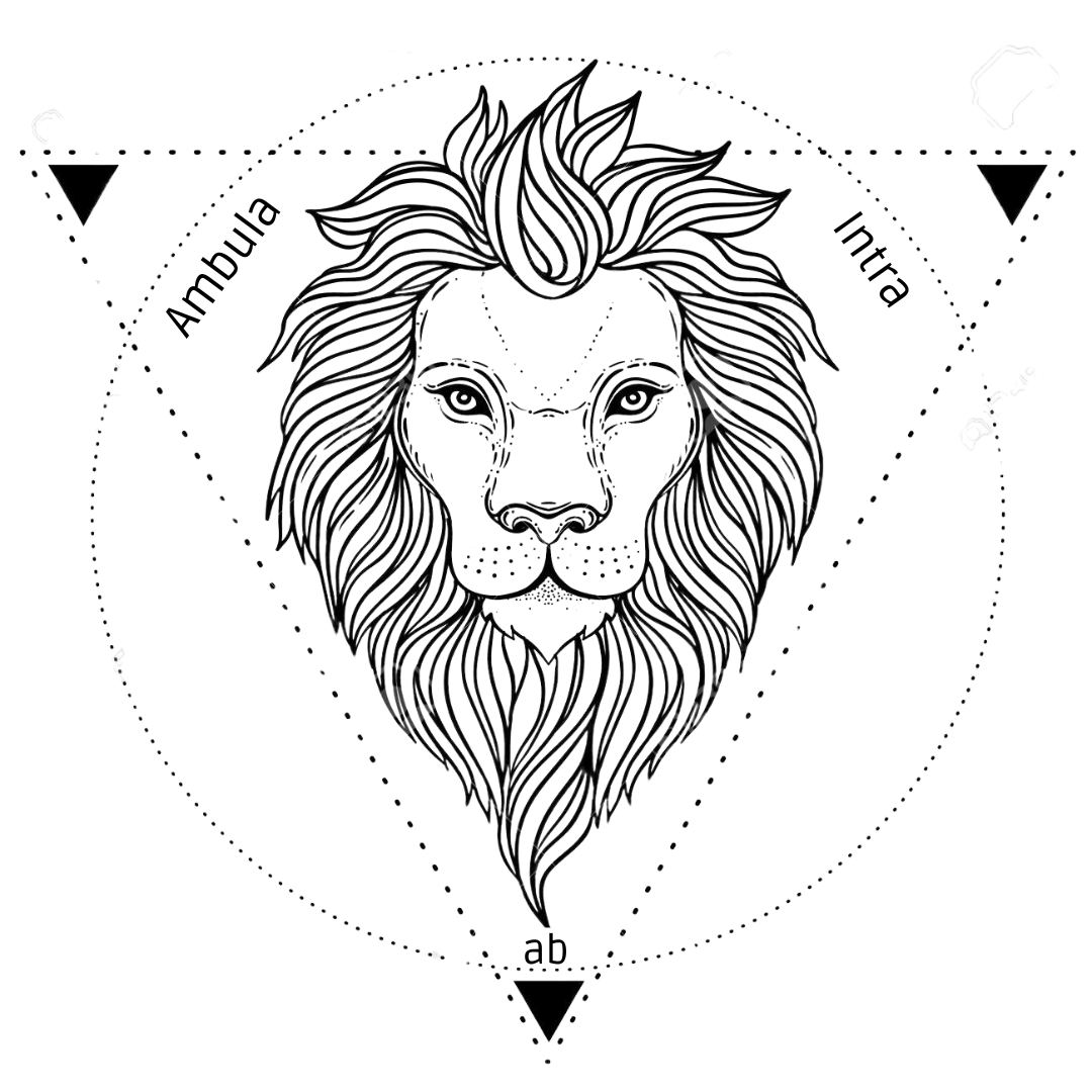 Protocollo Iniziatico