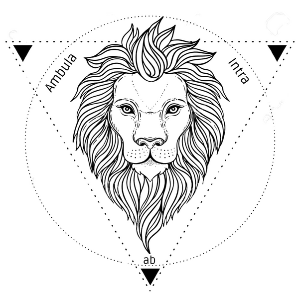 ProtocolloIniziatico